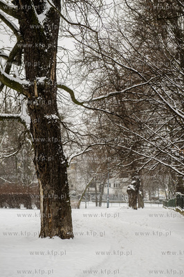 Gdańsk. Wrzeszcz. Park Uphagena. 
08.02.2017
fot....