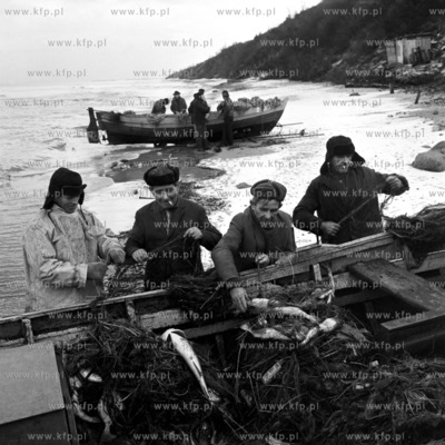 Rybacy z Chlapowa wyciagaja ryby z sieci. 14.12.1973
3grudzien73_z.kosycarz_p23
Fot....