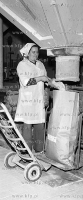 Linia prudukcyjna cukrowni Pruszcz w Pruszczu Gdańskim.
17.10.1977
4pazdziernik77_z.kosycarz_p37...