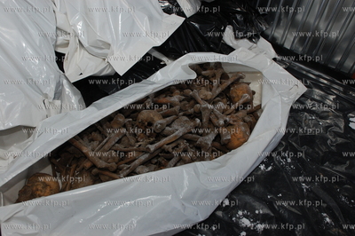 Szczatki okolo 1800 ludzi wydobyto z ziemi w centrum...