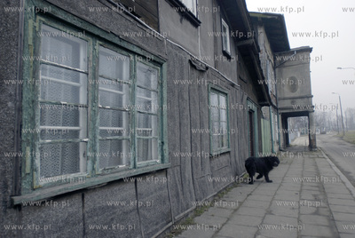 Budynki mieszkalne przy ul. Sienna Grobla 06.02.2009...