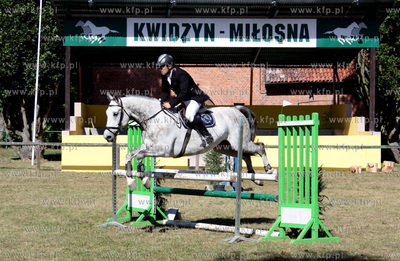 Kwidzyn, TRW Milosna. Regionalne zawody w skokach przez...