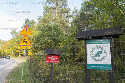 Łężyce. Trójmiejski Park Krajobrazowy.13.10.2019...