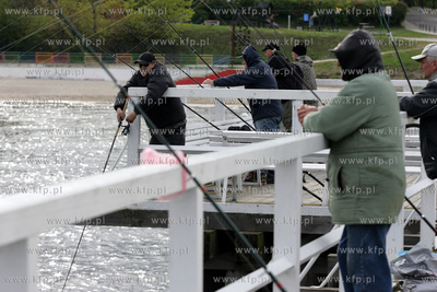 Wedkarze lowiacy belone z mola w Gdyni Orlowie. 18.05.2005...