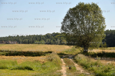 Sulmin, wies na Kaszubach. Polna droga dochodzaca do...