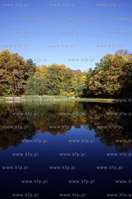 Sopot. Staw Morskie Oko.
14.10.2013
fot. Krzysztof...