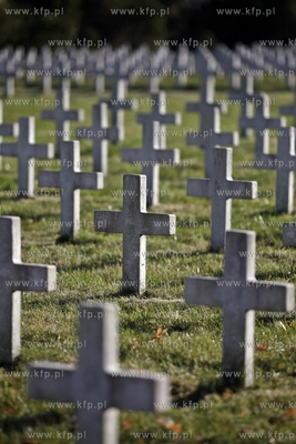 Wojskowy cmentarz francuski w Gdansku.
31.10.2013
fot....