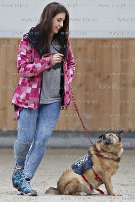 Sopot. Hipodrom. Psie zawody o Puchar Planet Pet Society...