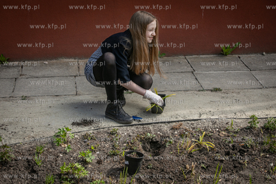 Sopot. Szkoła podstawowa nr. 1. Warsztaty z budowy...
