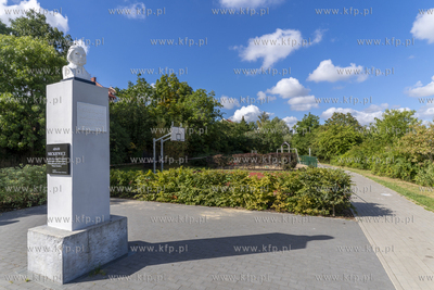 Zrewitalizowany Park na Zboczu na Wzgórzu Mickiewicza....