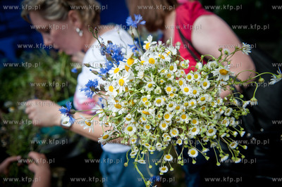 Gdynia. Park Rady Europy. Inauguracja sezonu letniego...