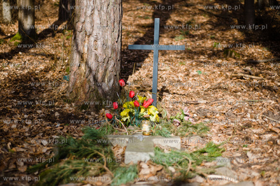 Gdansk. Oliwa, Trojmiejski Park Krajobrazowy. Sciezka...
