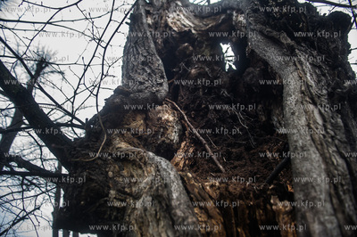 Gdańsk. Znajdująca się w ciągu Alei Zwyciestwa,...