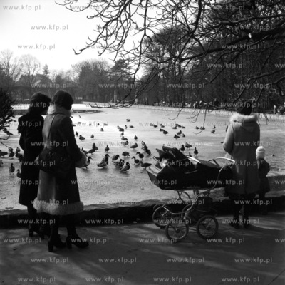 Zima w parku oliwskim w Gdansku Oliwie. 18.03.1976...