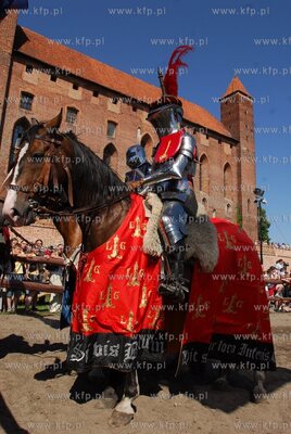 XVII Miedzynarodowy Turniej Rycerski Jana III na zamku...
