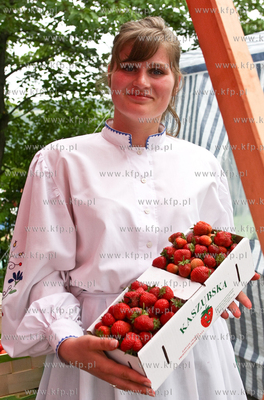Zlota Gora k. Kartuz. Truskawkobranie to najwieksza...