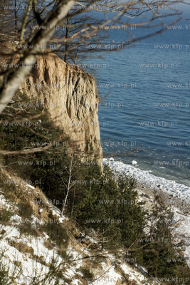 Mrozny poranek w Gdyni Orlowie. Nz. klif  24.01.2010...