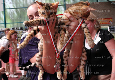 Dwunasta Miedzynarodowa Wystawa Kotow Rasowych Sopot...