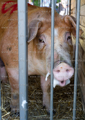 XX Pomorskie Targi Rolno Przemyslowe Pomorska Wojewodzka...