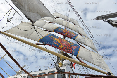 Dzien na Darze Mlodziezy ze studentami Akademii Morskiej...