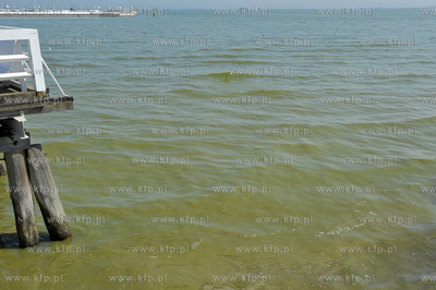 Sopot. Plaza. Zakaz kapieli w wodach Zatoki Gdanskiej...