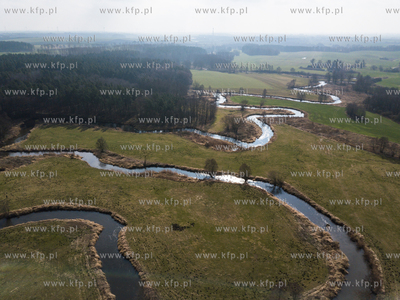 Wierzyca - rzeka w północnej Polsce, lewy dopływ...