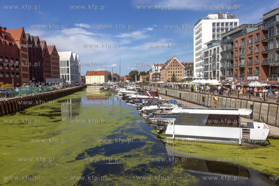 Marina Gdańsk przy ulicy Szafarnia w Gdańsku. 
31.08.2024
fot....