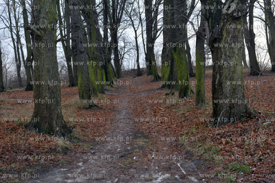 Gdańsk Aniołki. Kolonia Jordana i park przy ul. Antoniego...