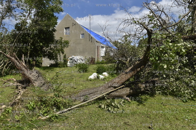 Skutki wichury na Pomorzu.  Raduń na Kaszubach, gmina...