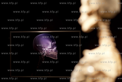 Wystawa o ciele ludzkim Human Body.
30.04.2013
fot....