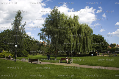 Gdańsk Wrzeszcz. Park nad Strzyżą.
07.08.2017
fot....
