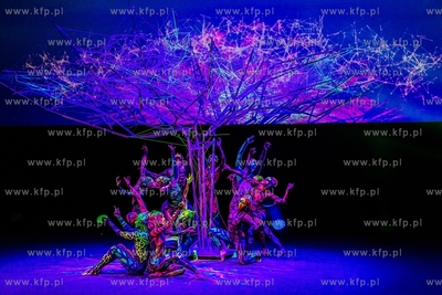 Kraków, Art Color Ballet. Widowisko inaugurujące...