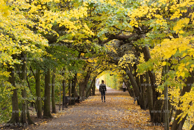 Gdańsk.  Jesienny Park Oliwski. 30.10.2023 /Fot. Anna...