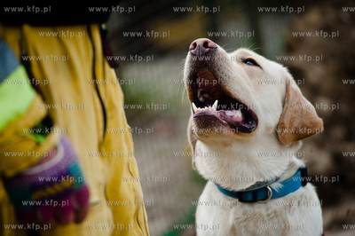 Gdansk Oliwa. Jednostka Strazy Pozarnej przy ul. Beniowskiego....