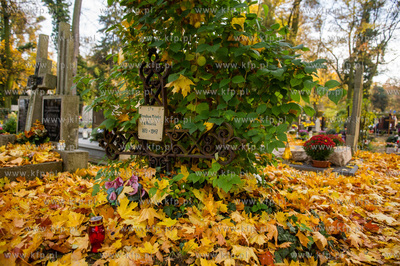 Gdansk. Cmentarz Garnizonowy. Dzien Wszystkich Swietych.
01.11.2015
fot....