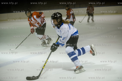 Gdańsk. Oliwa. Mała tafla Hali Olivia. Mecz inaugurujacy...