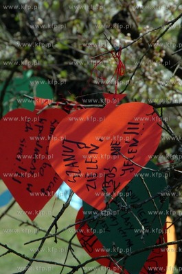 Mlodziez z roznych regionow Polski w miejscowosci Zagorzyczki...