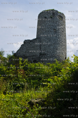 Zamek Smolen w okolicy Pilicy i Ogrodzienca.
20.07.2012...