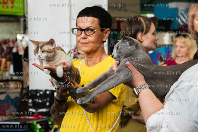 Międzynarodowa wystawa kotów rasowych "Koty na Hawajach"...