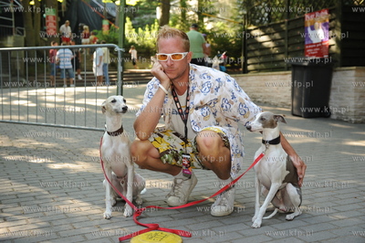 SOPOT HIT FESTIVAL 2009. Nz Glen Meyer z Blendersow...