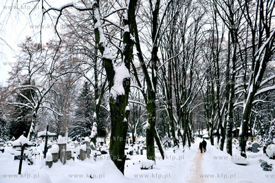 Zasniezony cmentarz w Oliwie. 
26.12.2010
fot. Maciej...