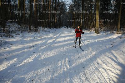 Zima w Golebiewie kolo Sopotu.
03.01.2010
fot. Krzysztof...
