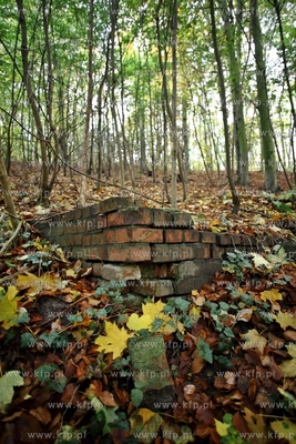 Pozostalosci cmentarza zydowskiego na  Krolewskim Wzgorzu...