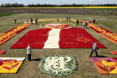 Mokry Dwor. Zulawski Tulipan. Z okolo jednego miliona...