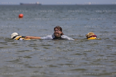 Gdańsk Brzeźno. Puchar Polski Psów Ratowniczych.
14.06.2015
fot....