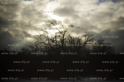 Park Ronalda Reagana.
20.01.2016
fot. Krzysztof Mystkowski...