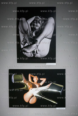 Przestrzeń Artystyczna  WL4 - Mleczny Piotr w Gdańsku....