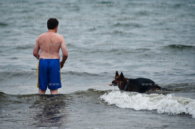 Sopocka plaza przyjazna dla zwierzat. Wprowadzona uchwala...