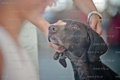 Gdansk. Teren przed stadionem PGE Arena. Miedzynarodowa...