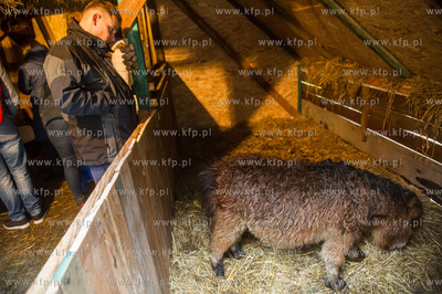 Gdansk. Zywa szopka Bozonarodzeniowa przy kosciele...